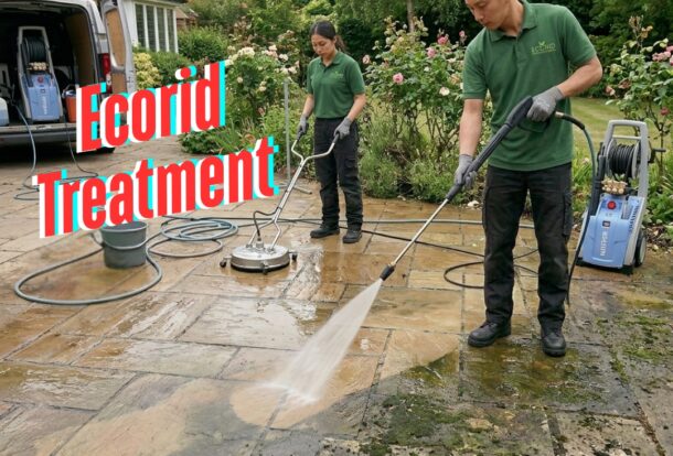 Patio Cleaning and Jet Washing in Surbiton and Kingston