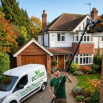 Gutter Cleaning